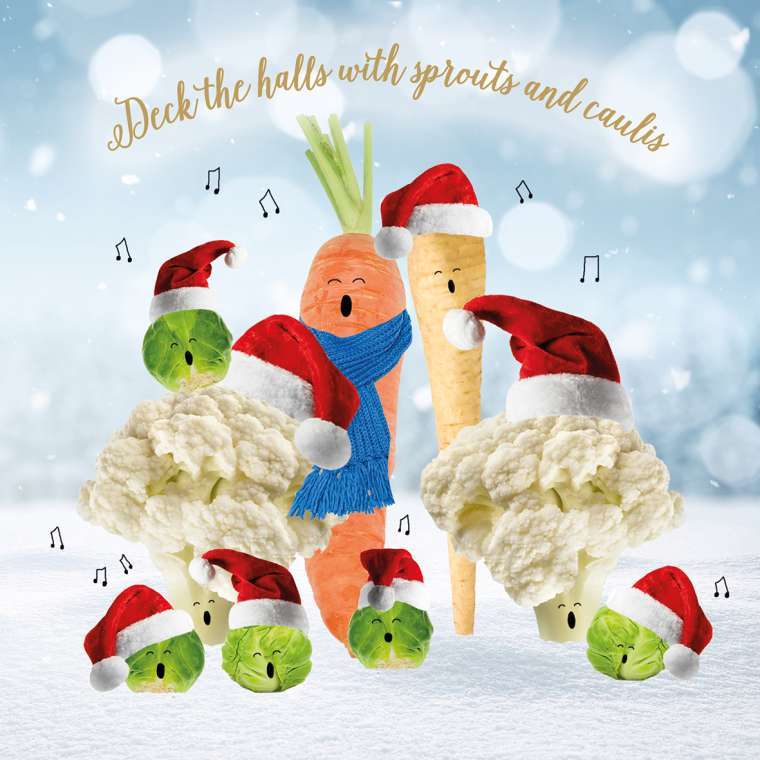 Deck The Halls images